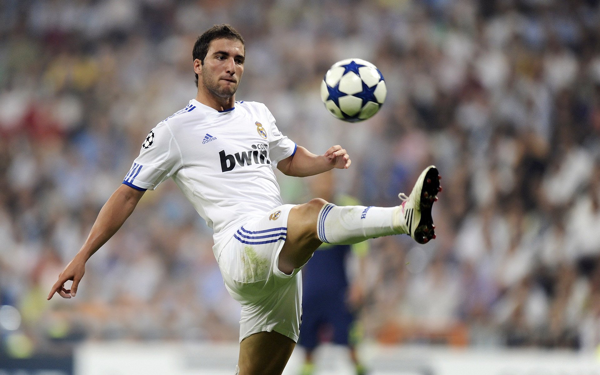 绿茵场外的战术博弈，从卢卡库的攻防转换看美韩关系的微妙平衡