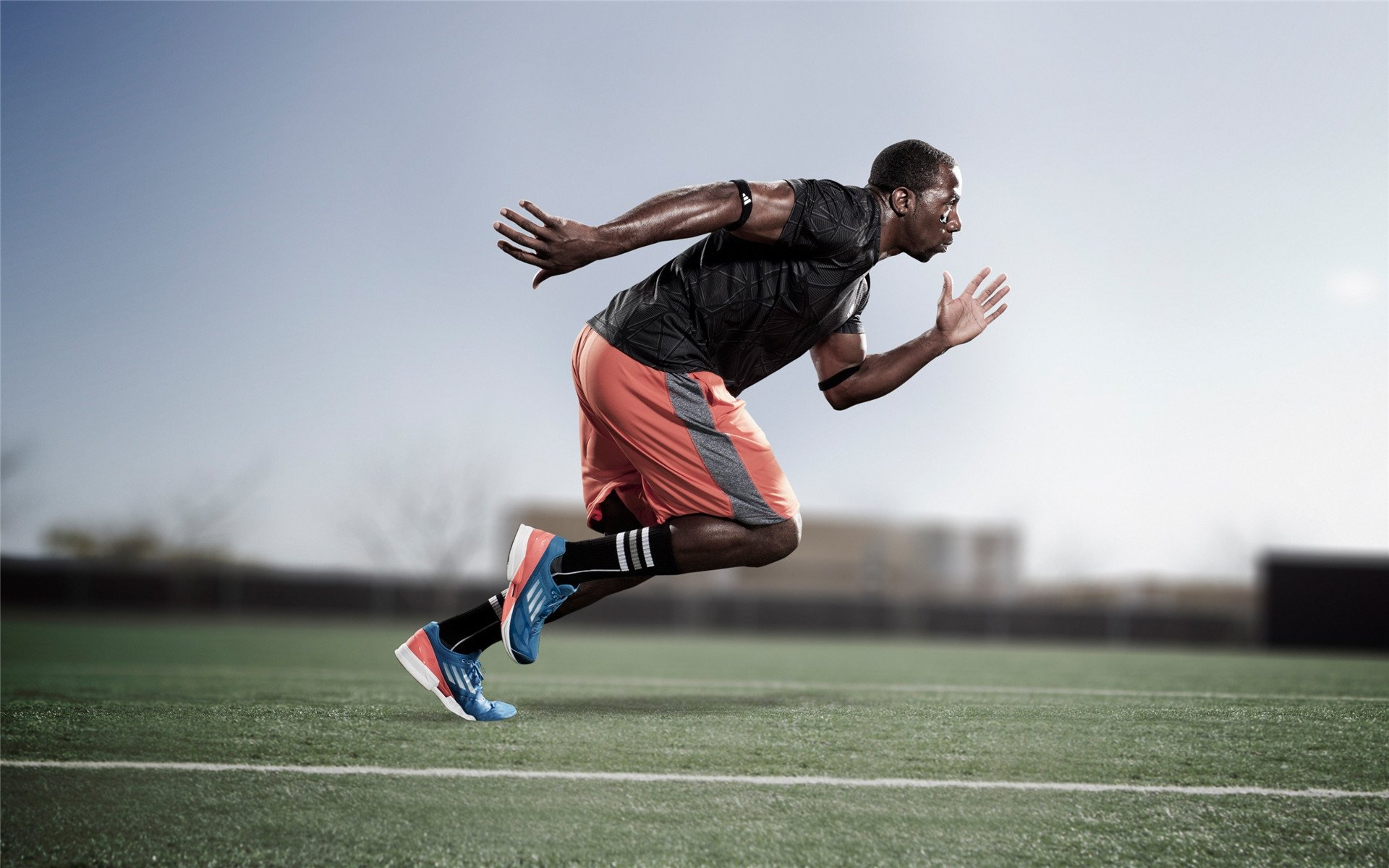 斑马军团铁蹄踏破马里，阿克数据封神诠释统治力